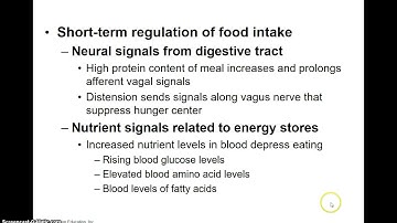 You Tube Video Part B Chapter 24 mp4 ns