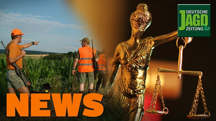 Bewährungsstrafe nach Jagdunfall, Trichinenfund Oberhavel, Wald mit Wild u.w. - DJZ-News 31/2019