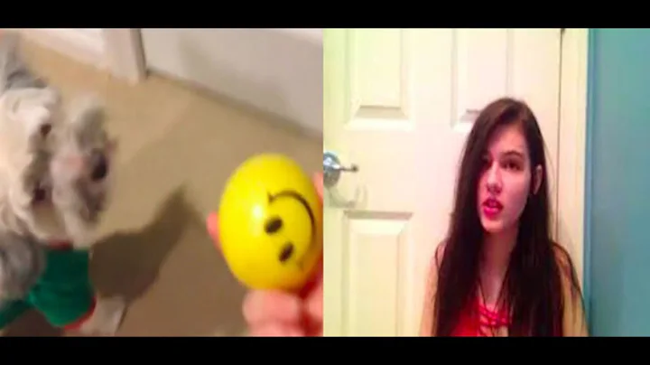 Jordan Turpin  - "My dog sandy plays with a ball" ...