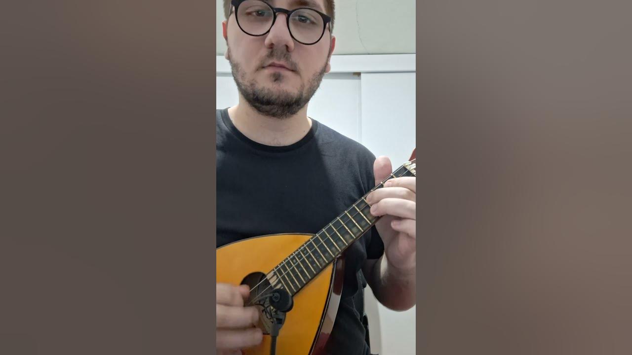 Guns N' Roses - Sweet Child O' Mine (Mandolin Solo) #shorts