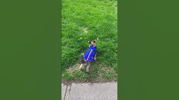 May 8 2025 Miky In A Jacket It S Still Chilly Outside 