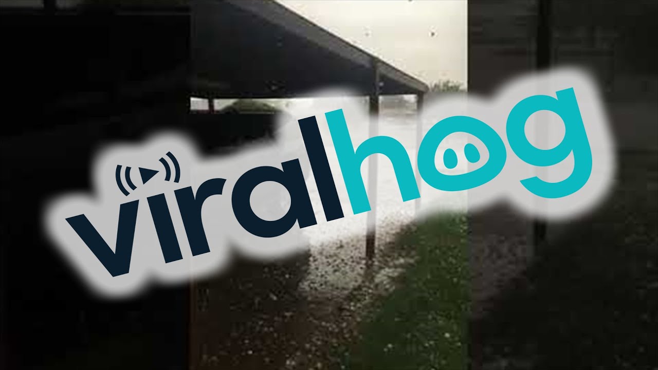 Ping Pong Hail Storm in Texas || ViralHog - YouTube