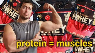 Optimum Nutrition: vanilla whey protein is it the best? REVIEW