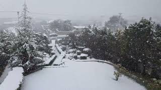 Χιονόπτωση στο Κορωπί,24 Ιανουαρίου 2022
