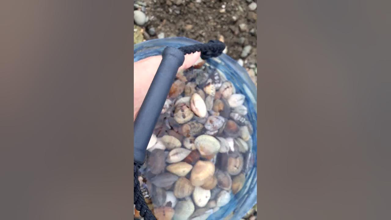 A tour in one of the beaches of the Sultanate of Oman, extracting sea