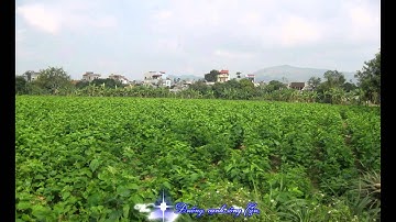 Bắc Ninh Trong Tôi Là - Uno