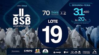 19 - LEILÃO VIRTUAL GENÉTICA TOUROS BSB AGROPECUÁRIA 31/08/2026