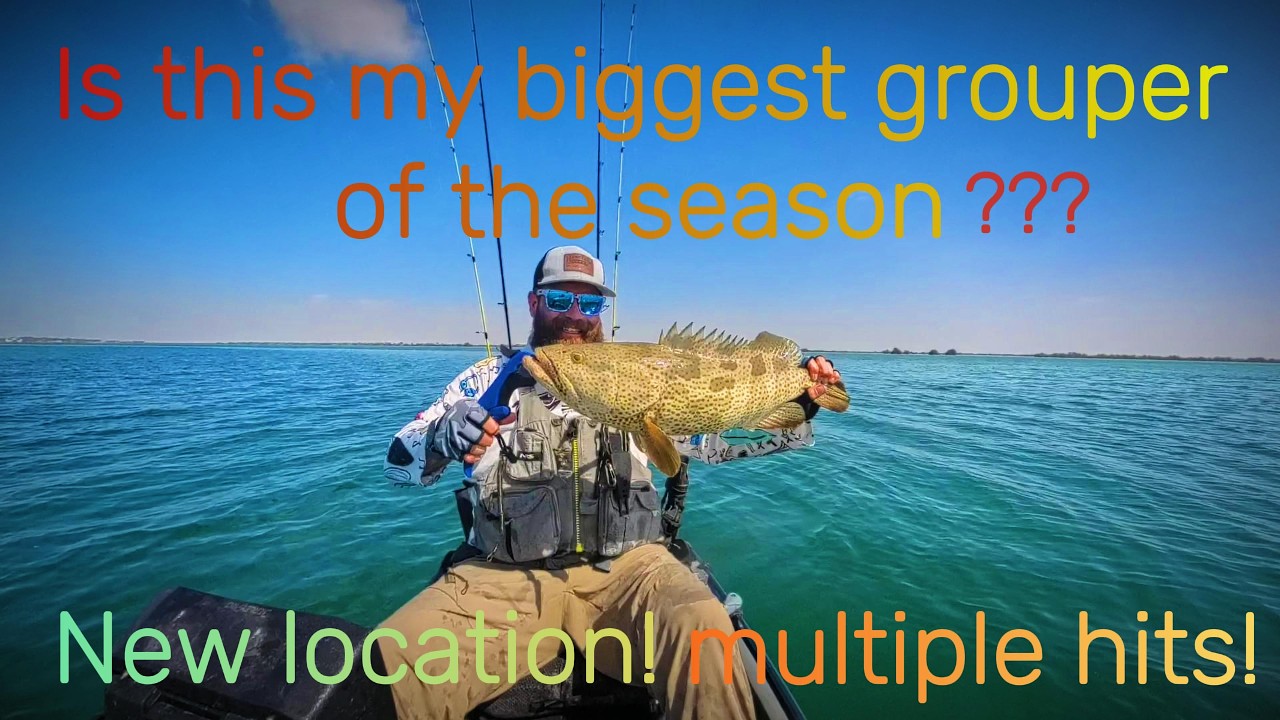 Is this my biggest grouper of the season???