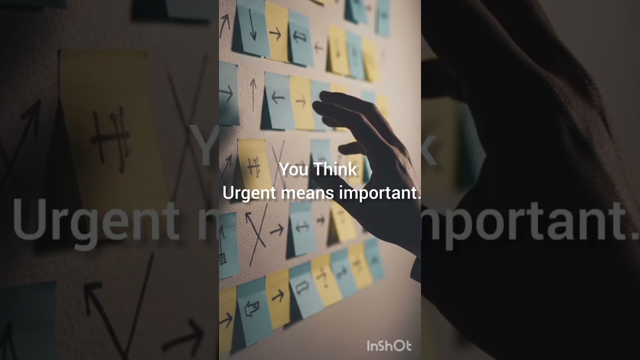 Most important things in life