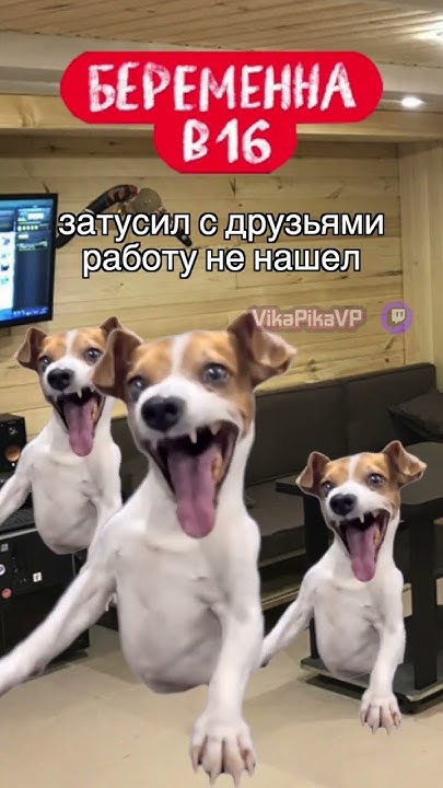 🤰🏻ТИПИЧНАЯ БЕРЕМЕННА В 16 #беременнав16 #шоу #мемы_тикток - YouTube