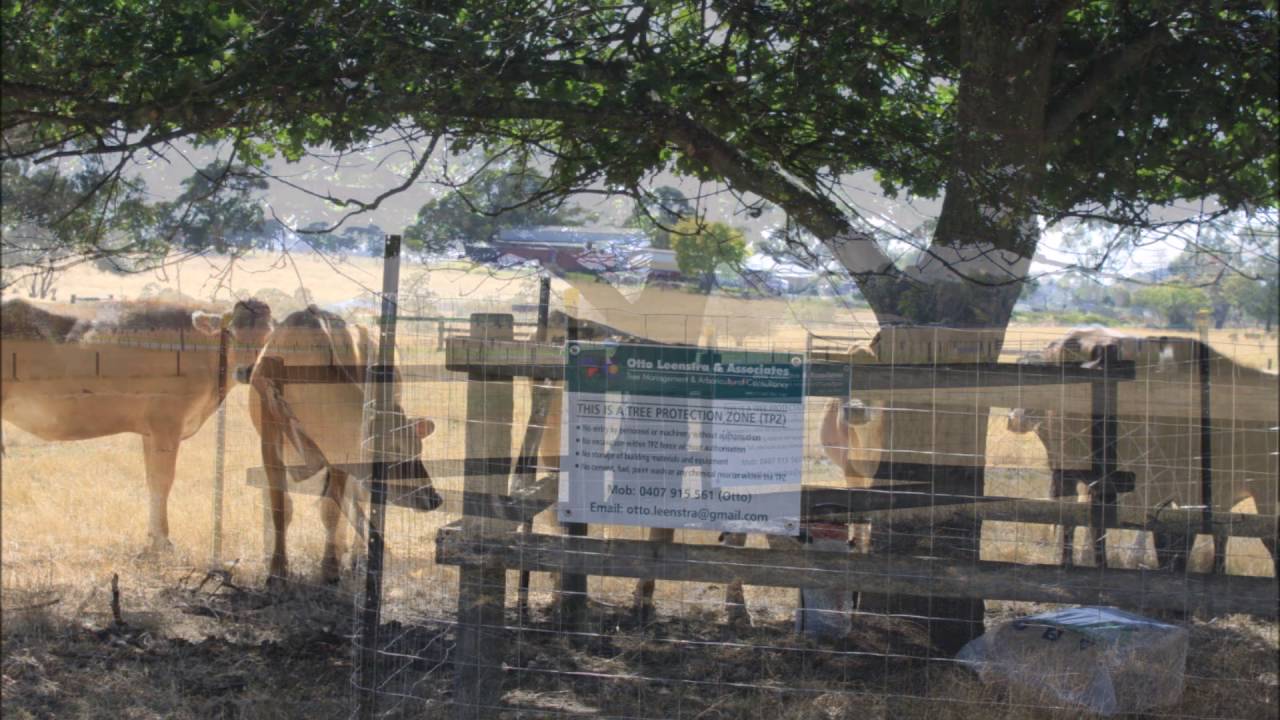 arborist-reports com au