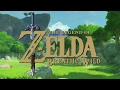 Breath of the Wild Retrospective