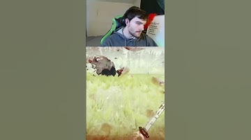 Chunk sabotages himself! | The Forest with Chaos Tricks | Twitch: ChunksterChunkus