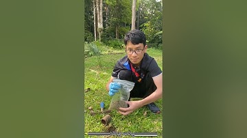 Sampling at Sg Inki, Kalumpang (Air Ambient Group) by Zahfrie