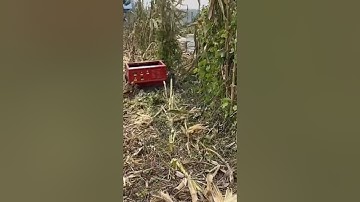 Cực phẩm robot cắt cỏ tự hành điều khiển từ xa Vinmax siêu hot #shorts #vinmax