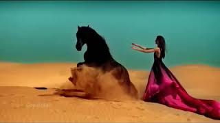 ‫أغنية وردة الصحراء لستينغ Desert Rose by Sting‬‎