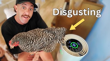 Jaspr Air Purifier Review | Is it Worth the Hype?