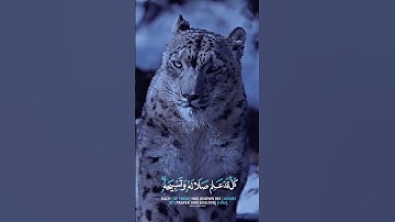 #قرآن #قران_كريم #اكسبلور #راحة_نفسية سورة النور ❤️😇
