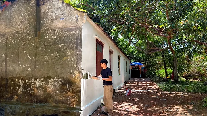 Old House Renovation Ep 52: Painted the house today, grown vegetables on the outside wall - DayDayNews