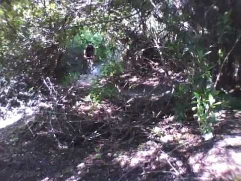 bicycles online Alva Mountain Bike Trails