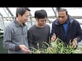 First crop of agriculture students from japan join uwa