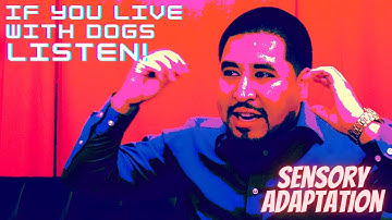 How do we smell things? This is cool! (Sensory Adaptation)