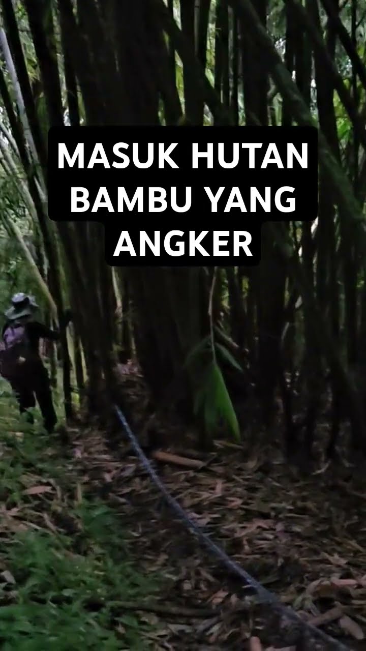 Pendakian Sampai Di Tempat Angker