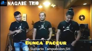 Nagabe Trio : Bunga Paccur, Cipt. Sudiarto Tampubolon, SH