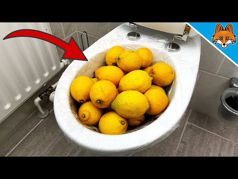 THAT&rsquo;S WHY you should put LEMONS in your toilet 💥 (cleaning trick) 🤯