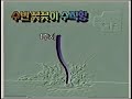 꽃꽃이 1 3 VHS 비디오테이프 1부 생화 2부 부케 3화 드라이 플라워 꽃꽃이 1 3 VHS 비디오테이프 1부 생화 2부 부케 3화 드라이 플라워