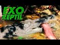 Exo Reptil - Aligátor Ataca a Experto ( Ataque de Alligator )