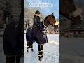 Your horse if youshorts rider ride equestrian equine viral horse trend