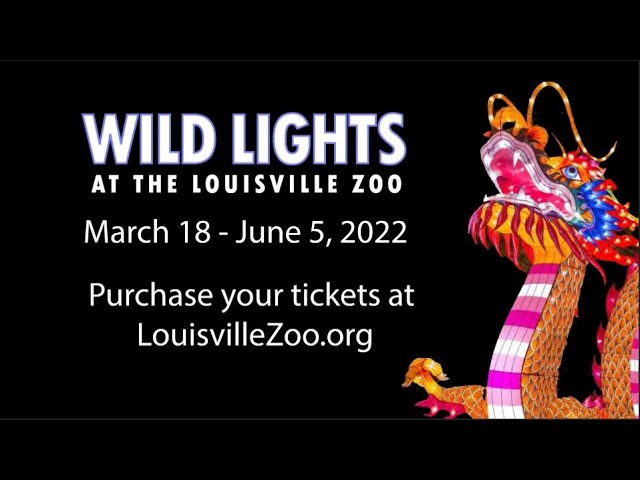 13+ Louisville Zoo Lights