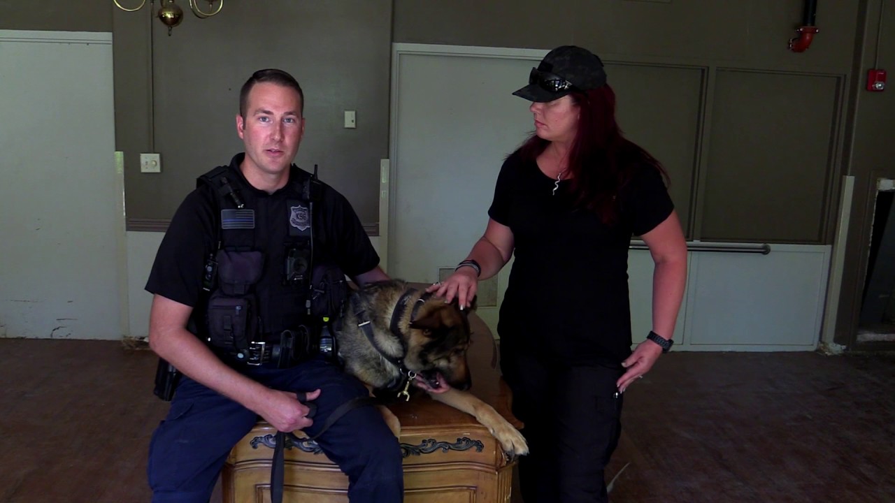 adventures of aladdin Meet Officer Eric Koepke - Greenville, SC Police Department