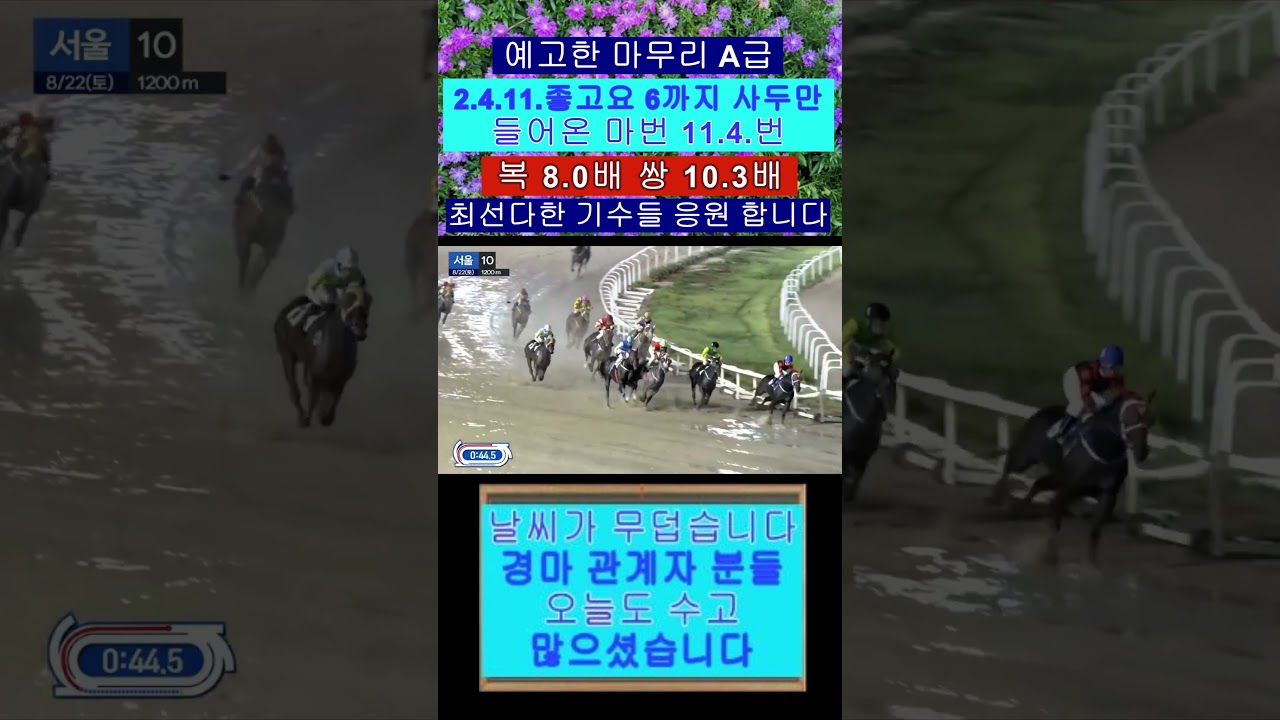 경마:마무리 A급 11.4.복 8.0배 쌍 10.3배 들어오는 영상보기