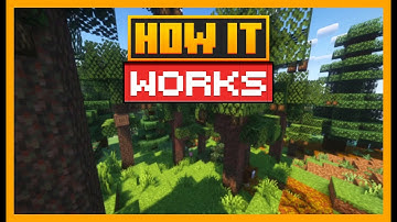 HOW THE PINE BARRENS BIOME WORKS IN WINDSWEPT