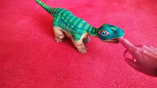 Pleo with repaired skin