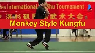 Monkey Style Kungfu Wushu