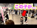 anoちゃんの「ちゅ、多様性。」を弾いてみたら盛り上がりすぎて...【上野駅ストリートピアノ】アニメ「チェーンソーマン」