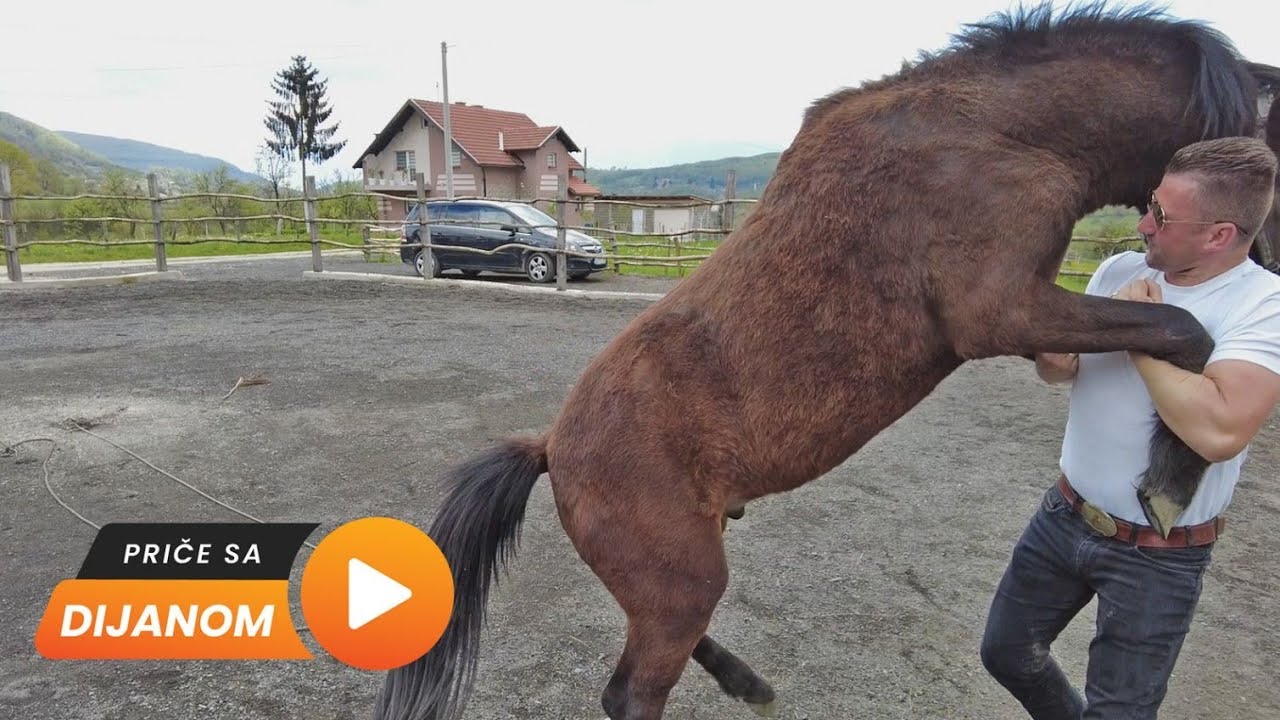 Konje koje niko ne smije jahati, ja mogu dresirati!