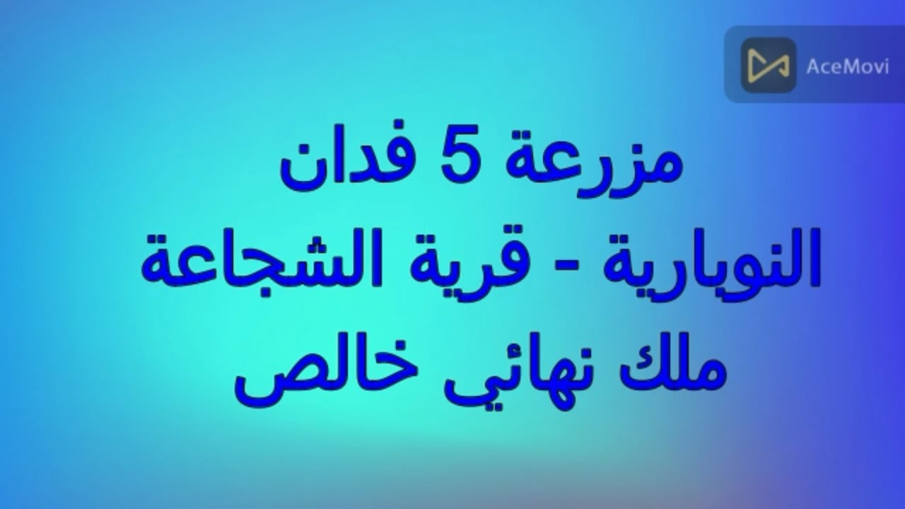 5فدان النوبارية   قرية الشجاعة