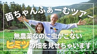 菌ちゃんふぁーむツアー/無農薬なのに虫がこない/環境循環型農業