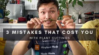 3 Mistakes When Buying & Growing Plants From Cuttings | Care Tips | Ep 125 screenshot 4