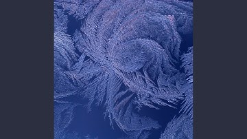 Exquisite Backdrops for Endless Vibes