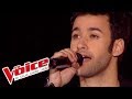 Michel berger  chanter pour ceux  anthony touma  the voice france 2013  prime 2