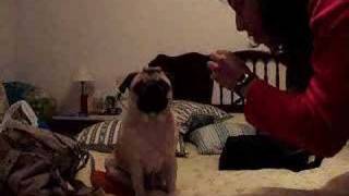 Tito y las galletas