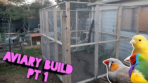 HOW TO: Building A Natural Finch Aviary - PT 1