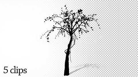 Growing Tree Silhouette Pack | Motion Graphics - Envato elements