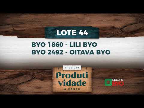 LOTE 44   BYO 1860,2492