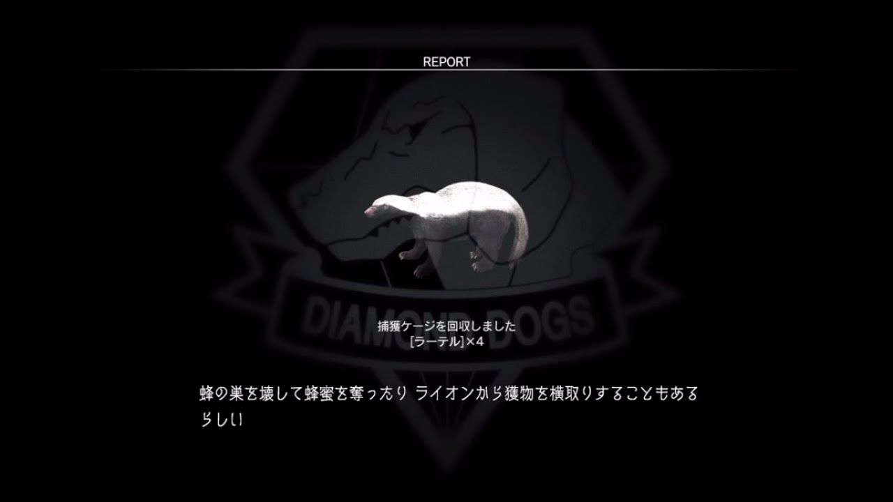 Mgsv Tpp ラーテル捕獲 G Youtube